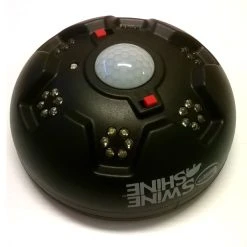 American Hunter Ruokintavalo Villisika, Swine Shine