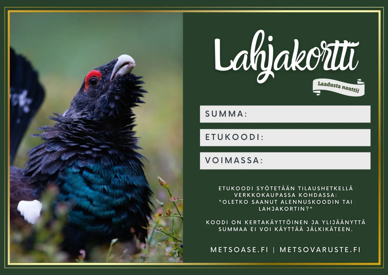 Lahjakortti (verkkokaupassa Käytettävä) 6 Lahjakortti (verkkokaupassa Käytettävä) - Image 4