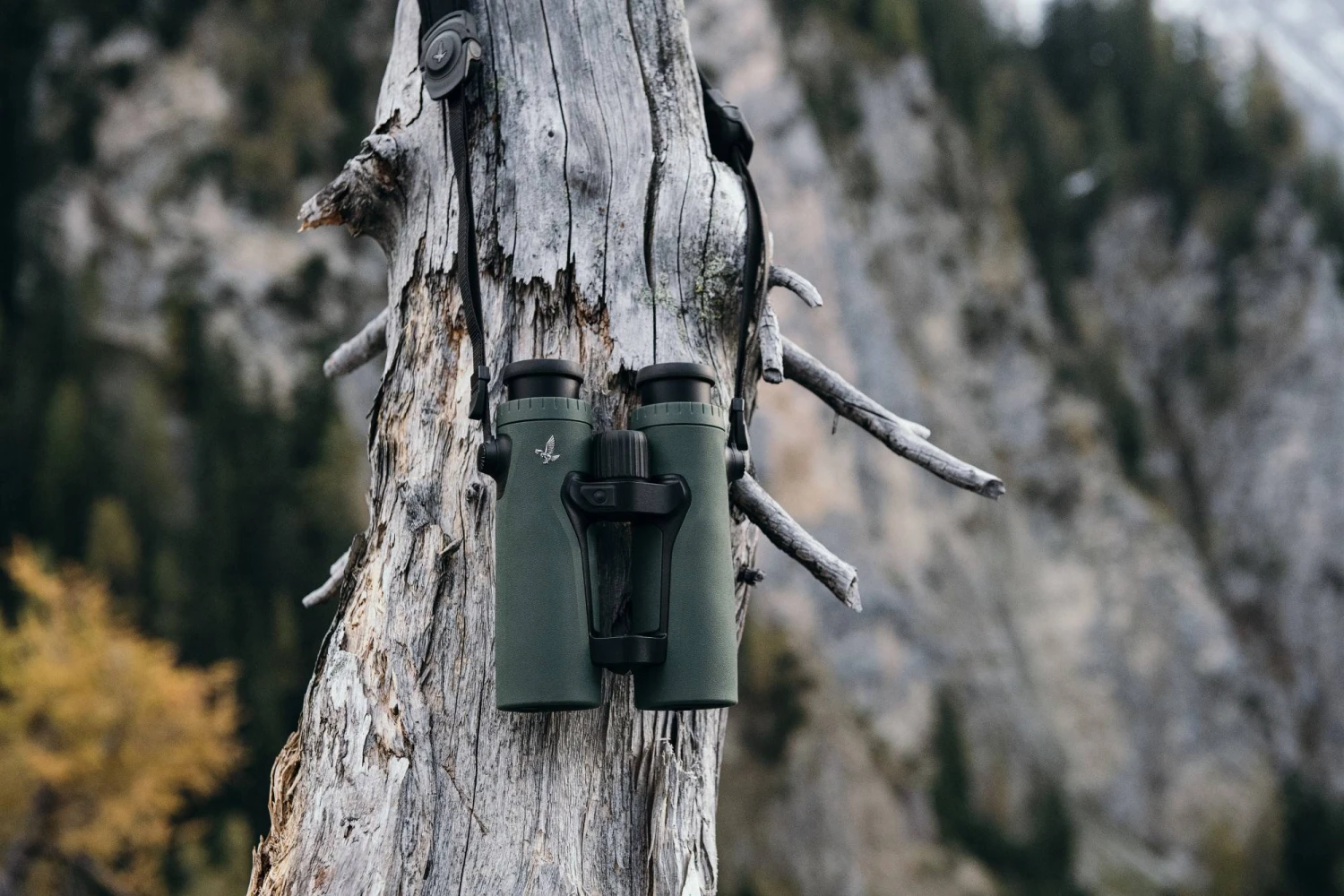 Swarovski EL Range 10X42 TA Katselukiikari 5 Swarovski EL Range 10X42 TA Katselukiikari - Image 3